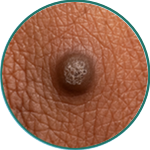 Alt Image
